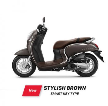 scoopy stylish brown